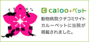 calooペット