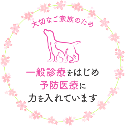 大切なご家族のため一般診療をはじめ予防医療に力を入れています